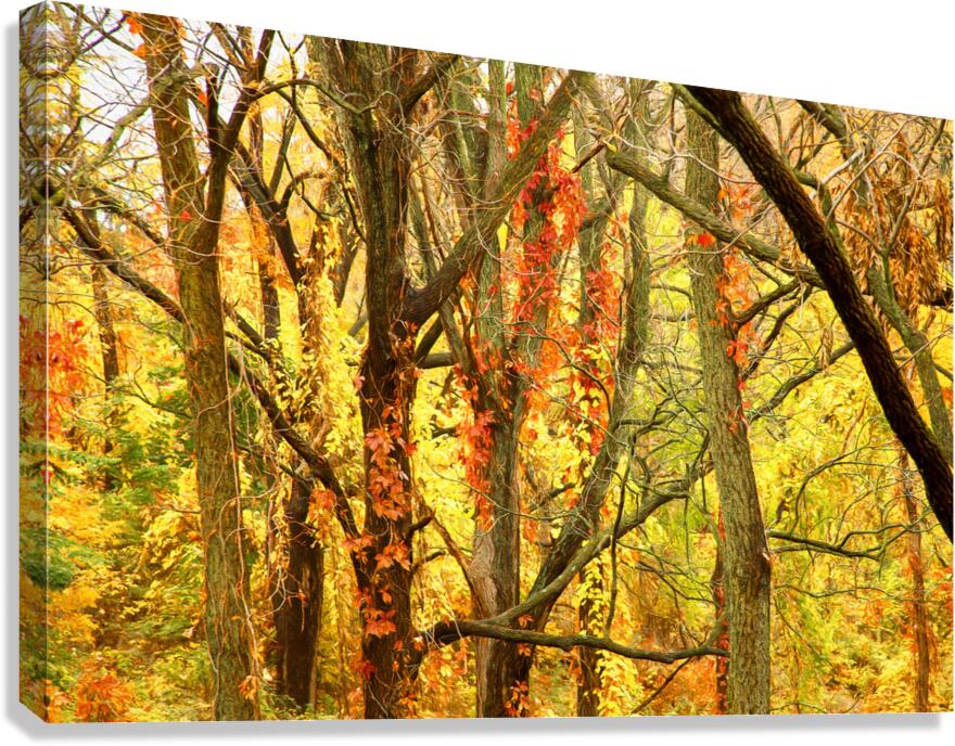 Strangled by Vines Canvas Print