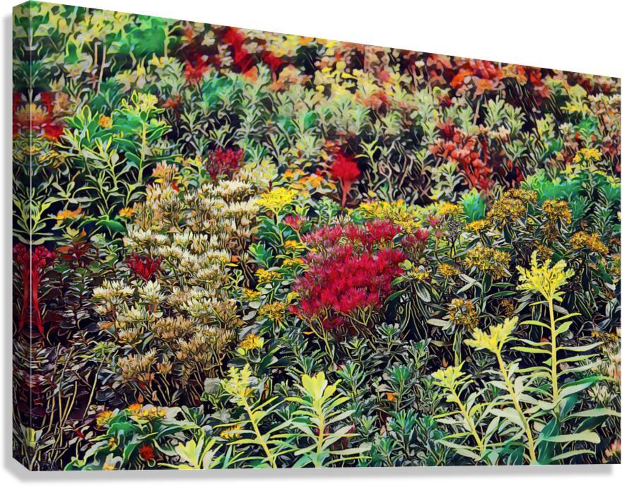 Ground Cover Up the Wall  Canvas Print