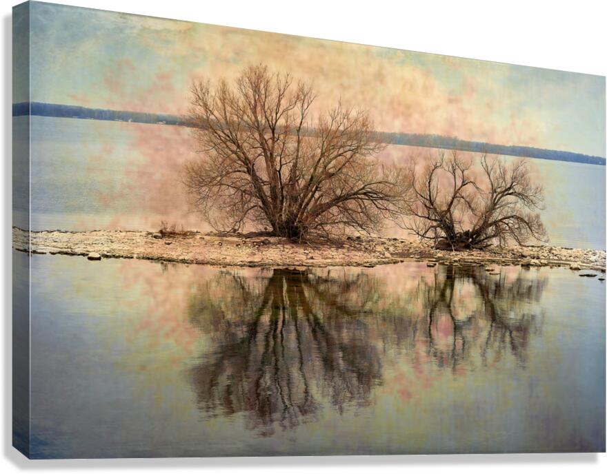 A Vision in Lake Ontario Canvas Print