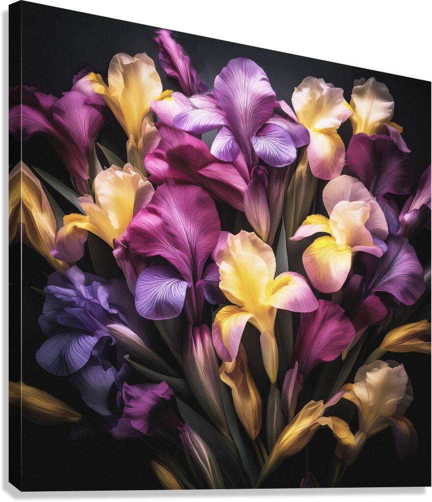 Colourful Irises in Full Bloom Canvas Print