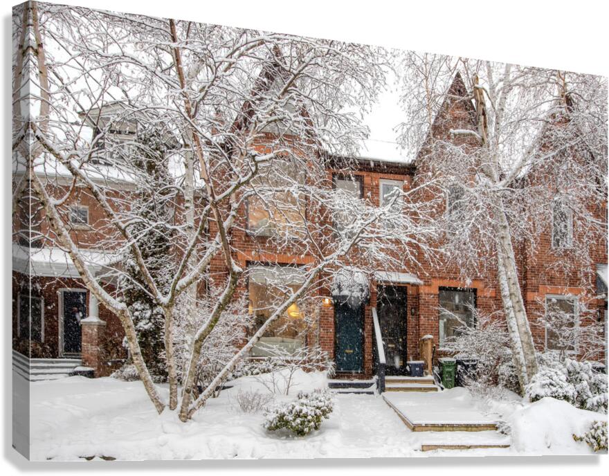 Soft Snowfall in Toronto Canvas Print