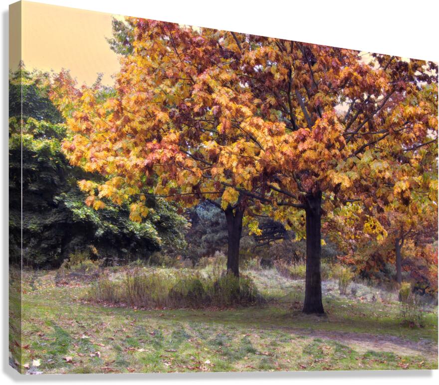 The Best of Friends in All Seasons Canvas Print