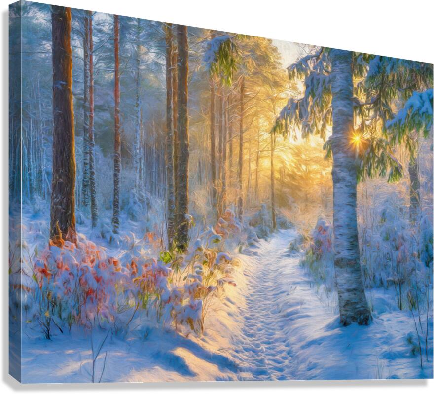 Sunrise After the Snow Canvas Print