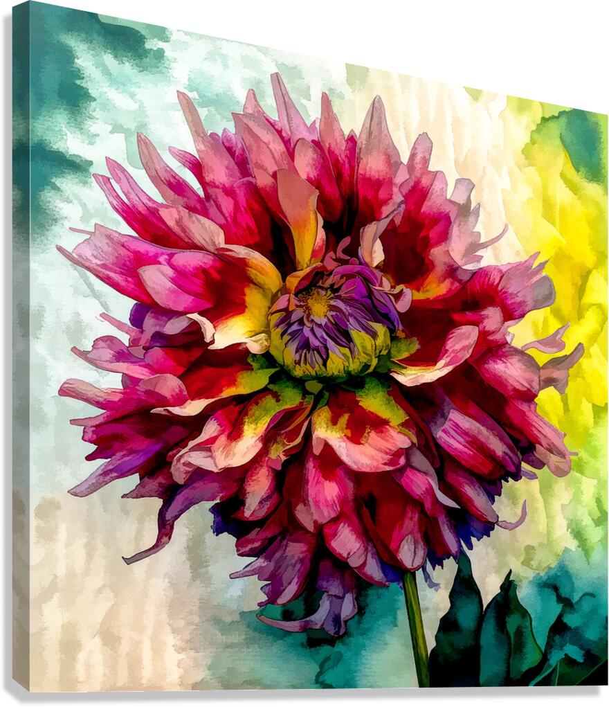 Dreaming of Dahlias Canvas Print