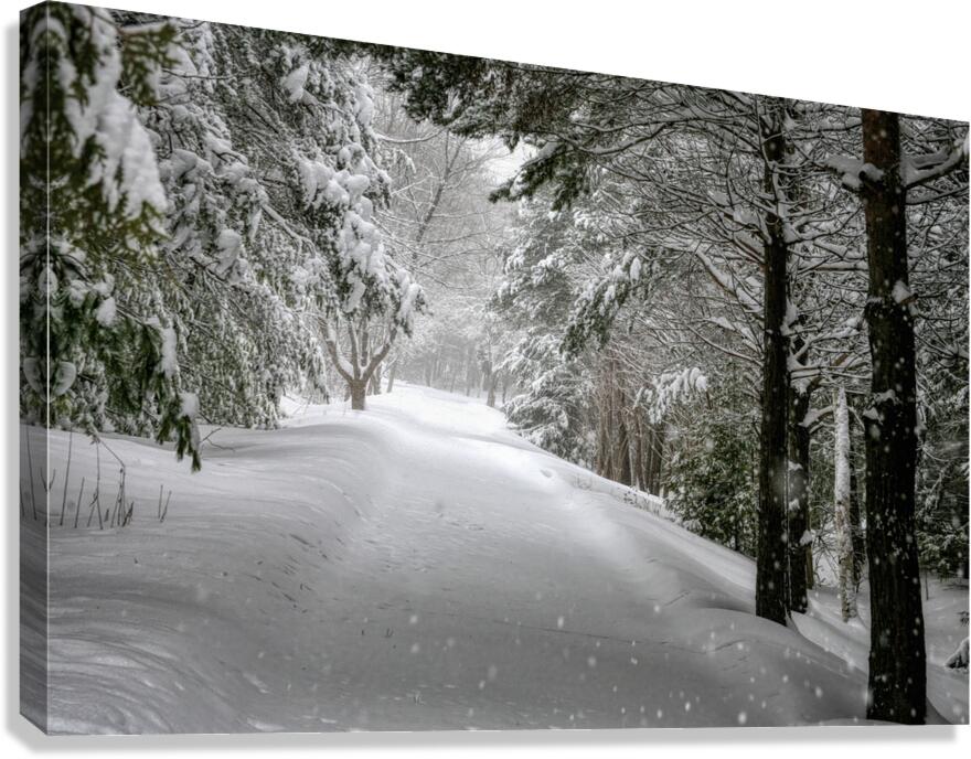 Your Turn to Shovel the Driveway Canvas Print