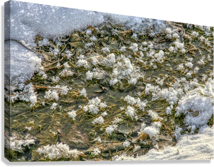 Ice Crystals Canvas Print
