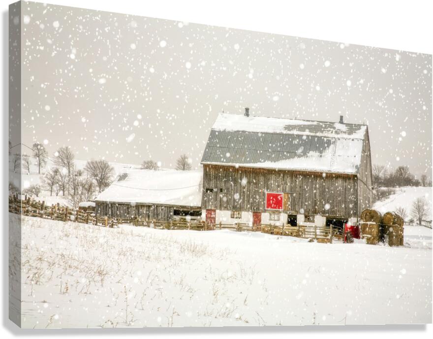 Little Red Square Canvas Print