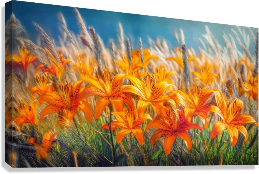 Harmless tiger lillies Canvas Print
