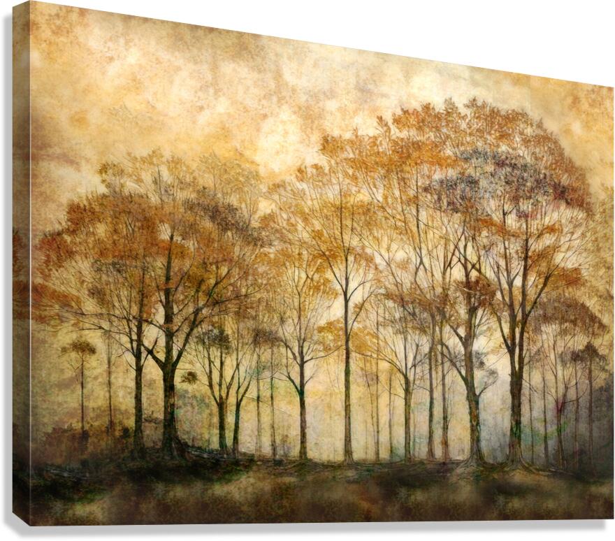 Trees in Morning Canvas Print