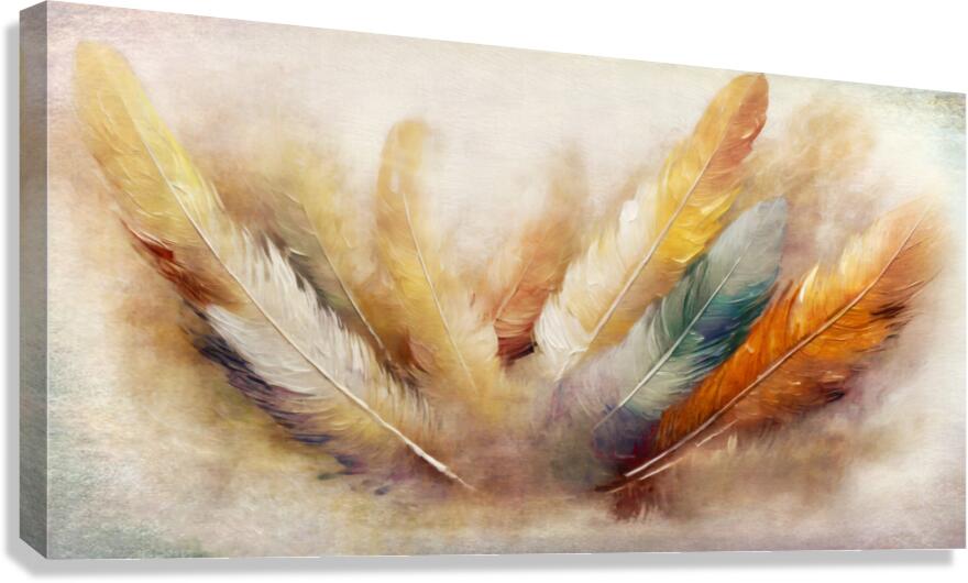 Feather Greetings Canvas Print
