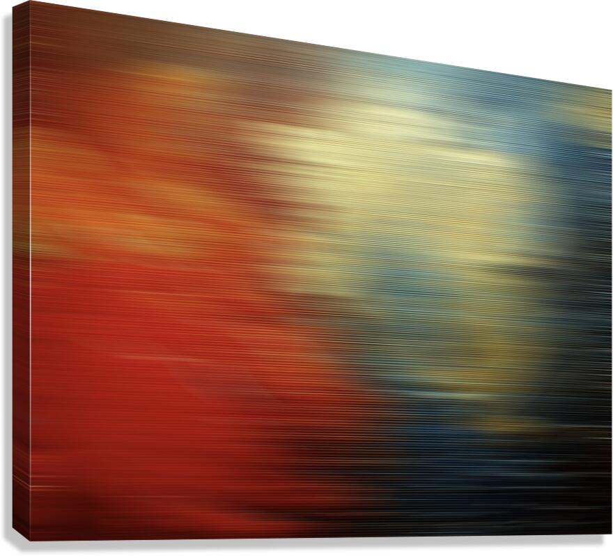 SHARK Canvas Print