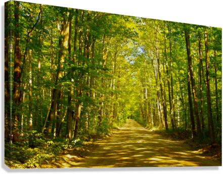 Peaceful Bancroft Side Road Canvas Print