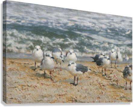 Seagull Dating Scene Canvas Print