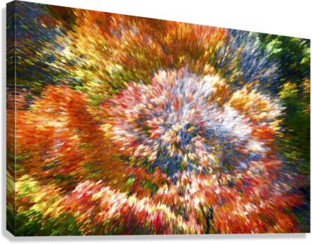 Explosion of Color Canvas Print