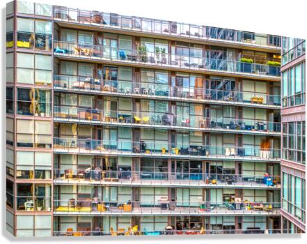 View from My Home Office Window Canvas Print