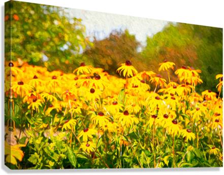 Cheerful Curb Appeal Canvas Print
