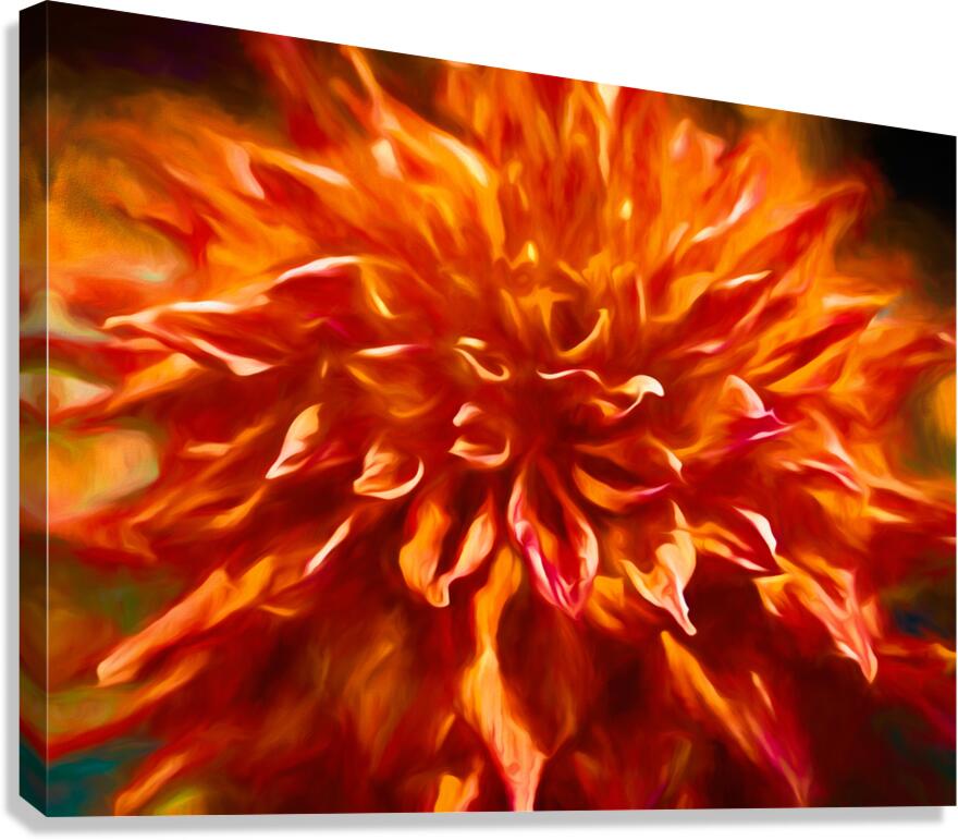 Dahlias are the Best Canvas Print