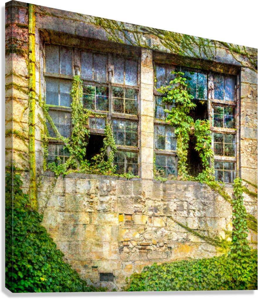 Broken Promises Canvas Print