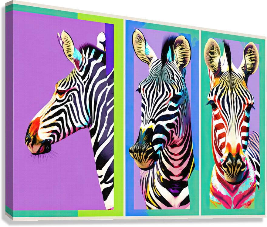Three Zebras Canvas Print