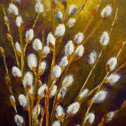 Pussywillows 