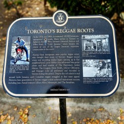 Torontos Raggae Roots