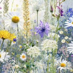 Meadow in Bloom 