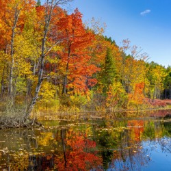 On a Dirt Road Near Kingston