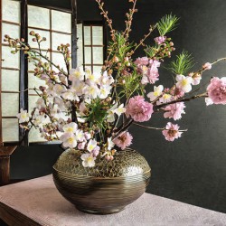 Pink and White Cherry Blossoms