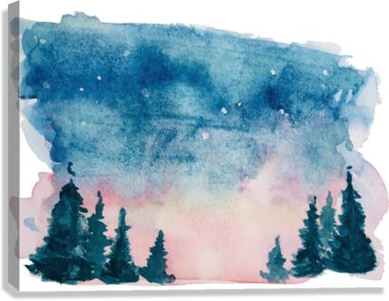 001 Canvas Print