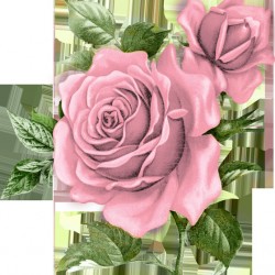 Pink Rose Artwork