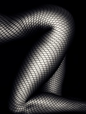 Legs in Fishnet Stockings 2
