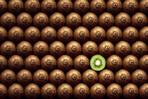 Sliced kiwi between group