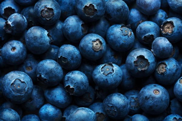 Blueberries Background Close-up Print