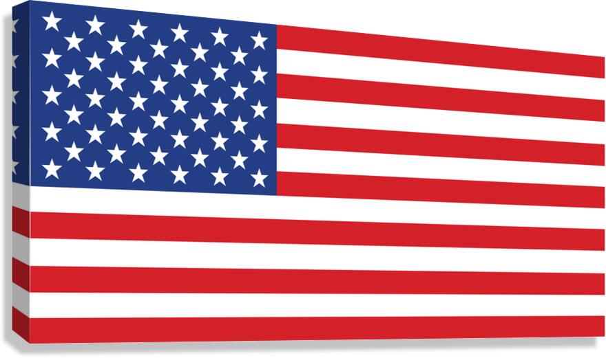 60x30 flag Canvas Print