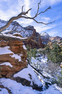 Snowy Zion