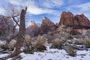 Court of the patriarchs  Zion