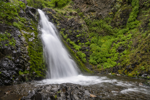 Dog Creek Falls