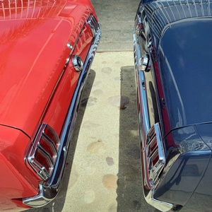Mustang election day