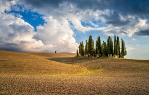 early morning on the fields in Tuscany