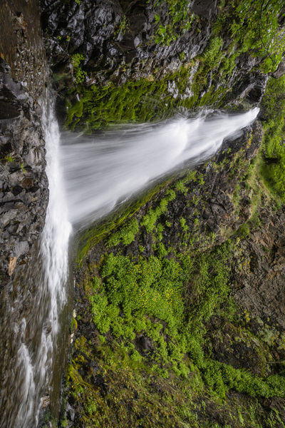 Dog Creek Falls Print
