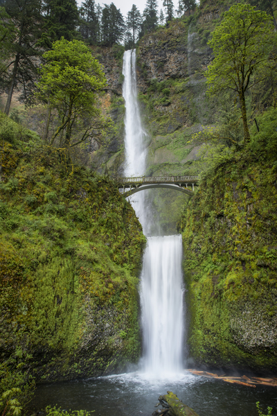 Multnomah Falls Print