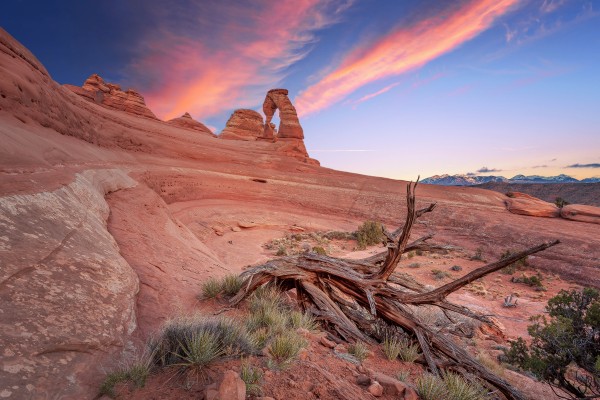 Delicate arch Print