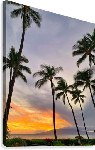 kaanapili Canvas Print