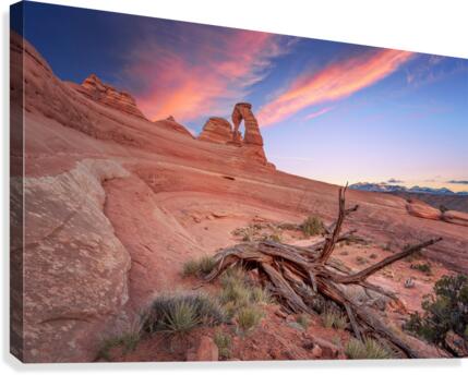 Delicate arch Canvas Print