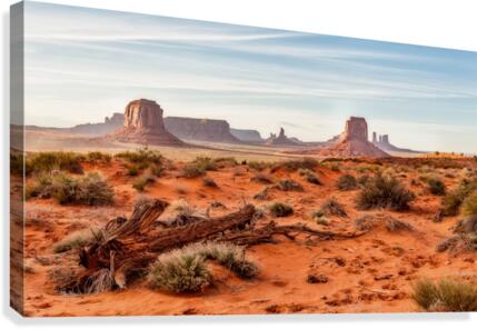 Monument Valley Canvas Print