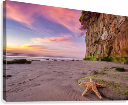 Leucadia cliffs Canvas Print