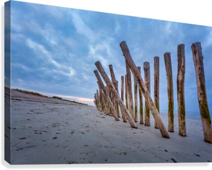 Cleut Rouz Canvas Print