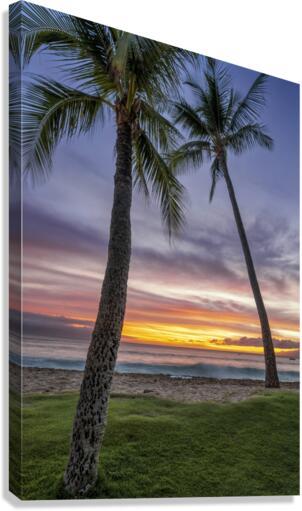 sunset coconut  Canvas Print