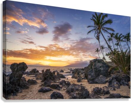 Charley young beach Canvas Print