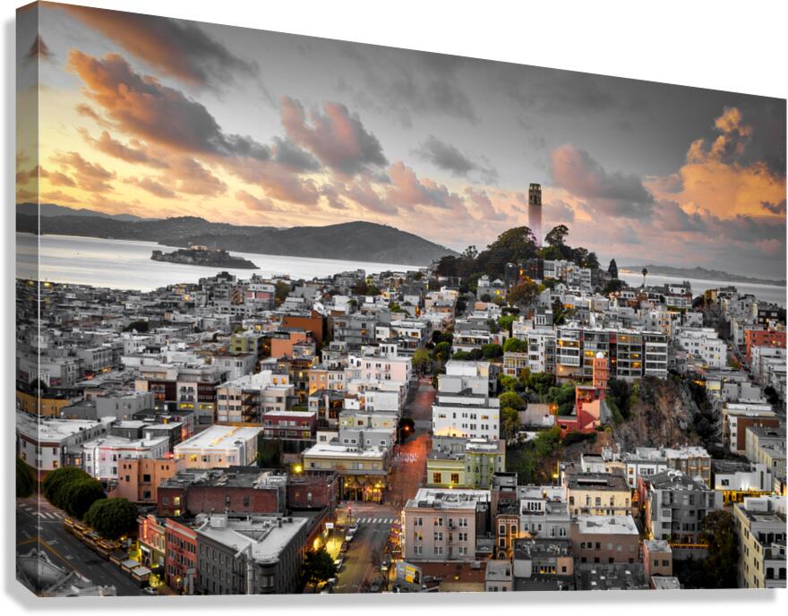 Coit tower Canvas Print